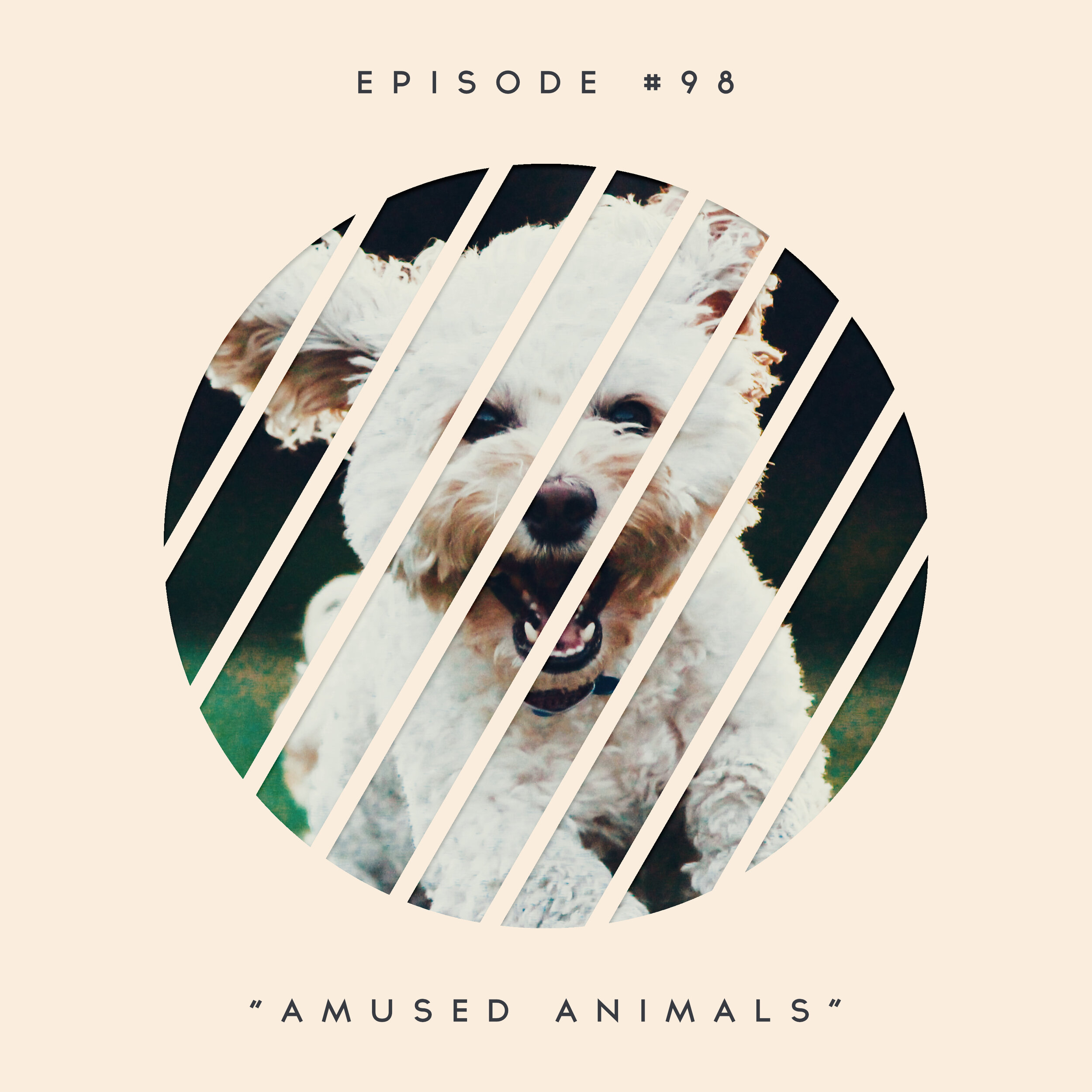 98: Amused Animals