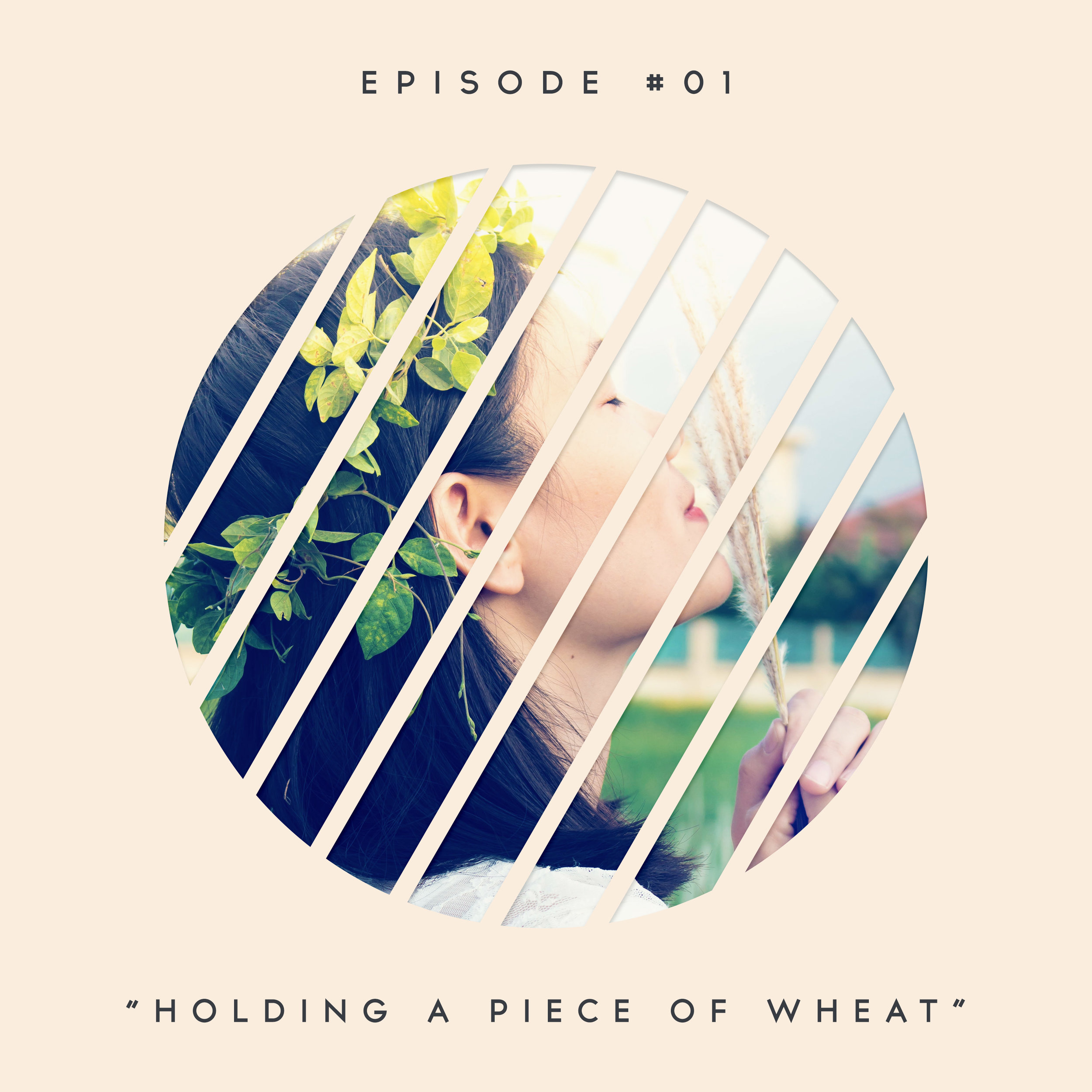 1: Carrying a Piece of Wheat