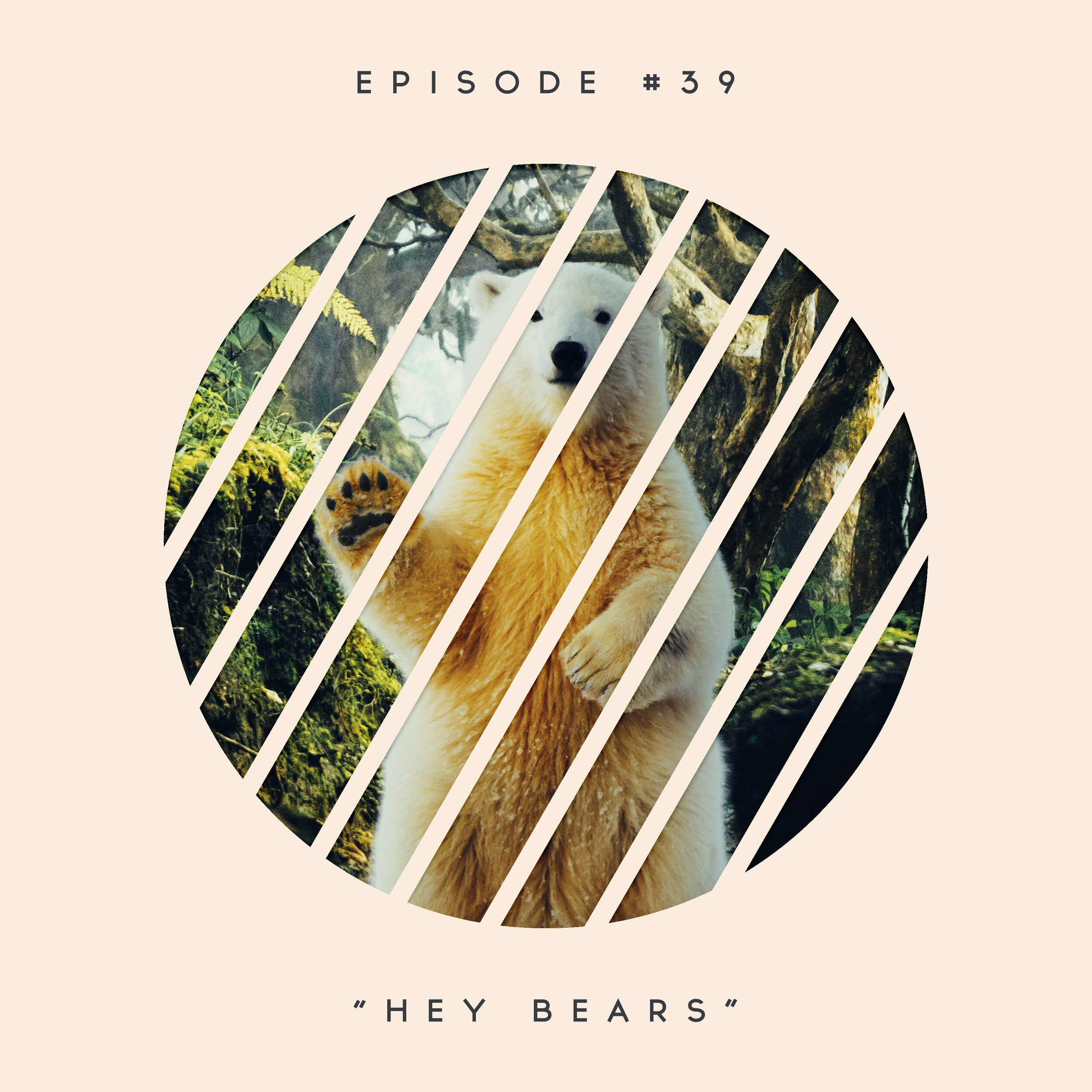 39: Hey Bears