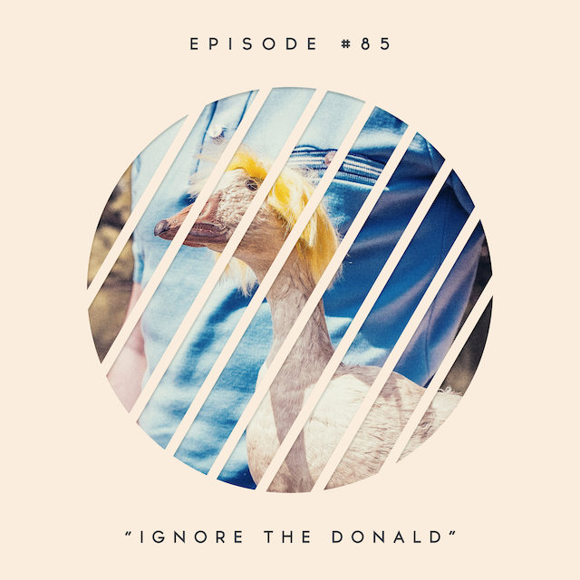 85: Ignore the Donald