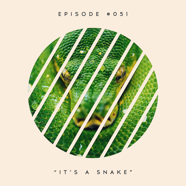 51: It’s a Snake